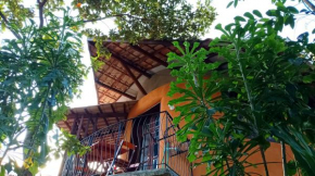 Casa de Terra!
